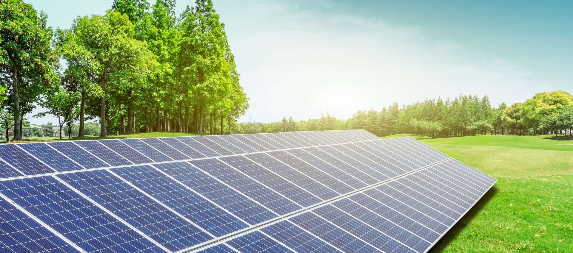 YAŞANILABİLİR BİR DÜNYA İÇİN